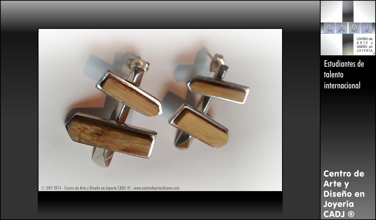 Aretes, Colección 